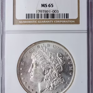 $1 Morgan MS65 Certified (Dates/Types Vary)
